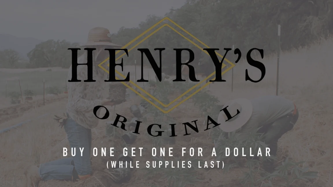 Henrys Website icon