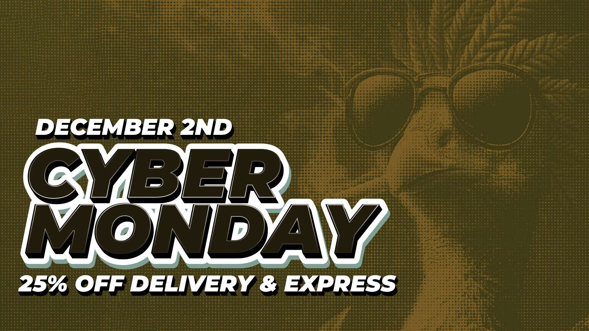 cybermonday https://thecirclelbc.com/wp-content/uploads/2024/11/cybermonday.webp