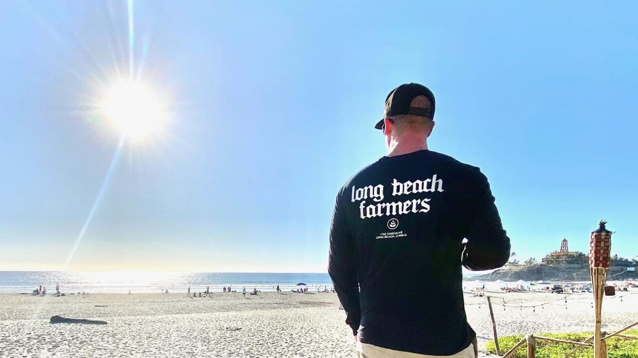 Heavy Hitters, Baby Jeeter & Premium Vapes: The Circle’s Ultimate Cannabis Guide