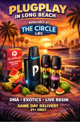 PlugPlay in Long Beach The Pod System Worth Knowing About Google Docs 04 10 2026 11 45 AM