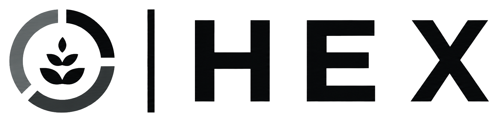 HEX logo true transparent HEX logo true transparent